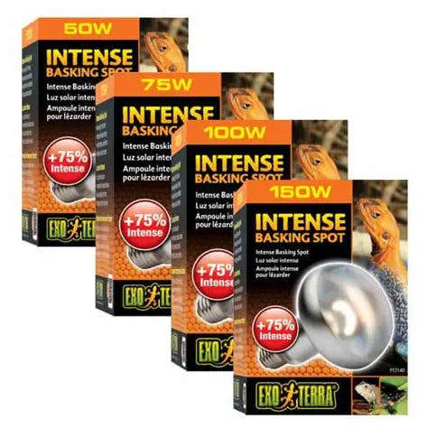 Exo Terra Intense Basking Spotlight